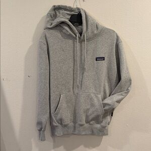 Patagonia Gray Hoodie